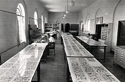 Scholars studying the Dead Sea Scrolls